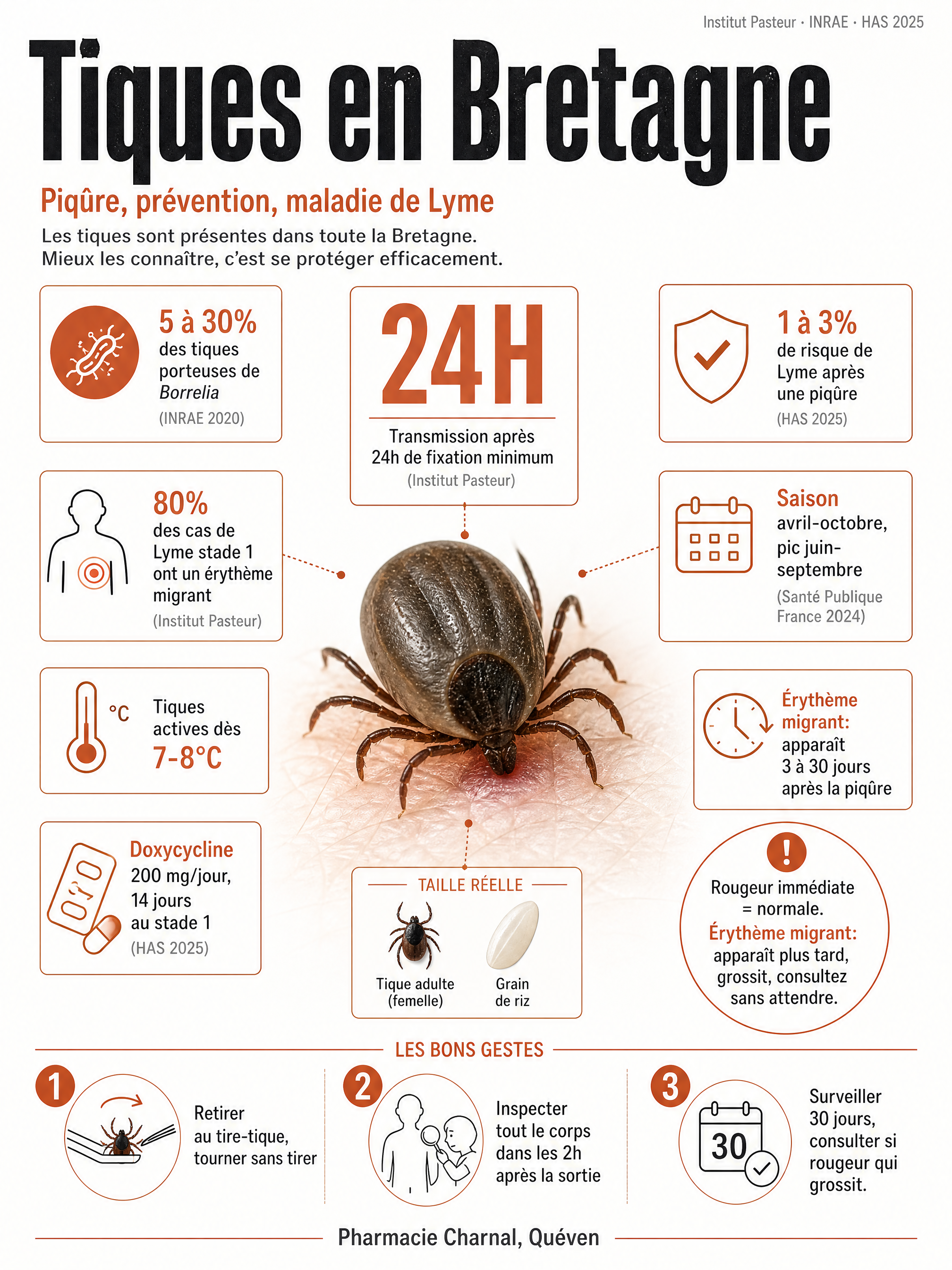 Infographie: tiques en Bretagne, chiffres clés sur la piqûre, la maladie de Lyme et les bons gestes de prévention, Pharmacie Charnal Quéven