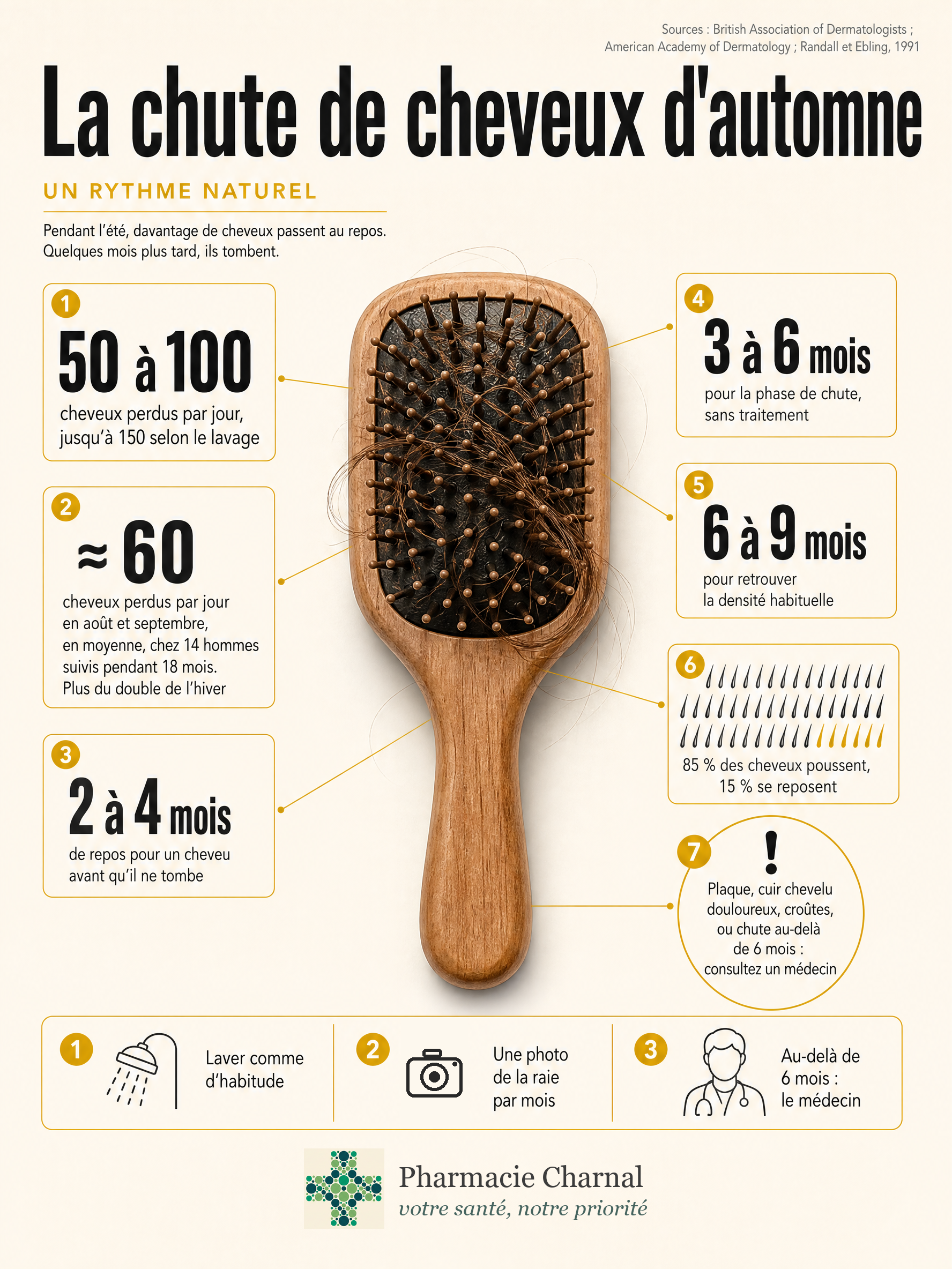 Infographie: la chute de cheveux d'automne en chiffres, 50 à 100 cheveux perdus par jour, 2 à 4 mois de repos du cheveu, 3 à 6 mois de phase de chute, 6 à 9 mois pour retrouver la densité habituelle