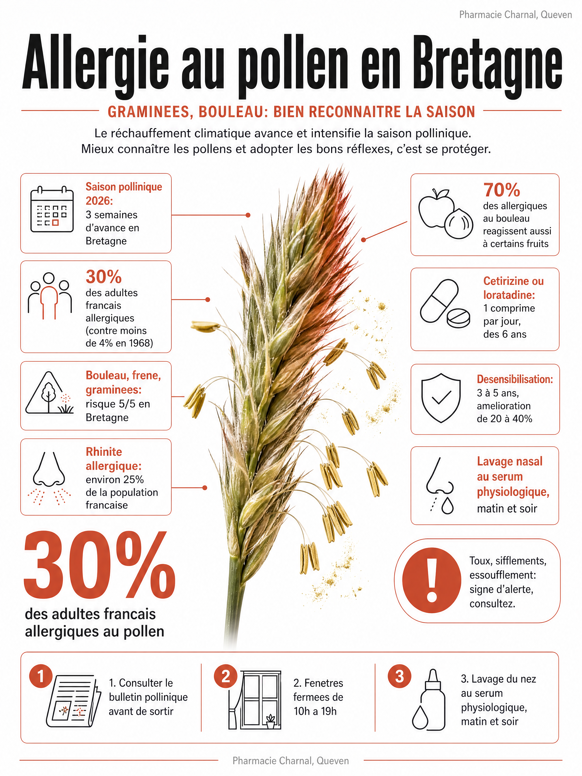 Infographie: allergie au pollen en Bretagne, graminées et bouleau, chiffres et bons réflexes